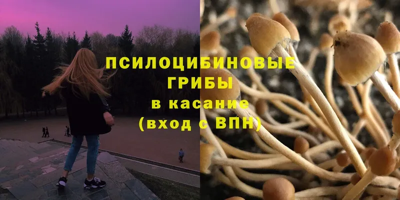 Галлюциногенные грибы Cubensis  Алупка 